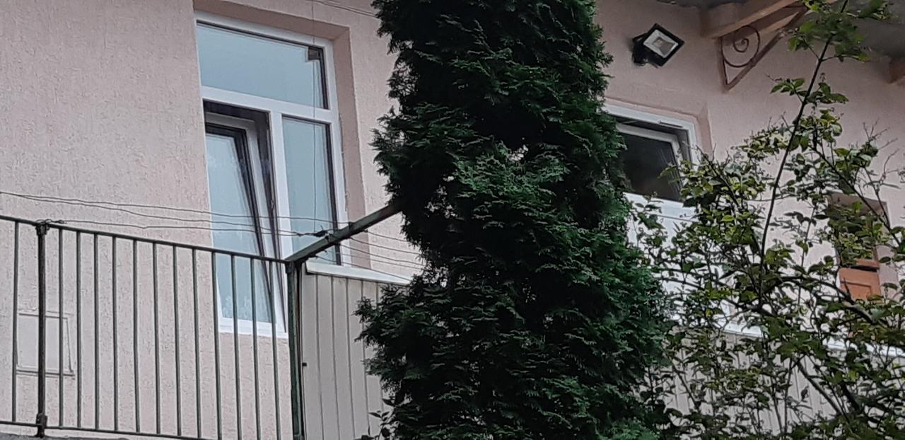 Transfer Apartment Львов Экстерьер фото